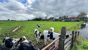 Vooral GroenLinks-PvdA en VVD kruisen de degens in kernendebat van gemeente Waterland